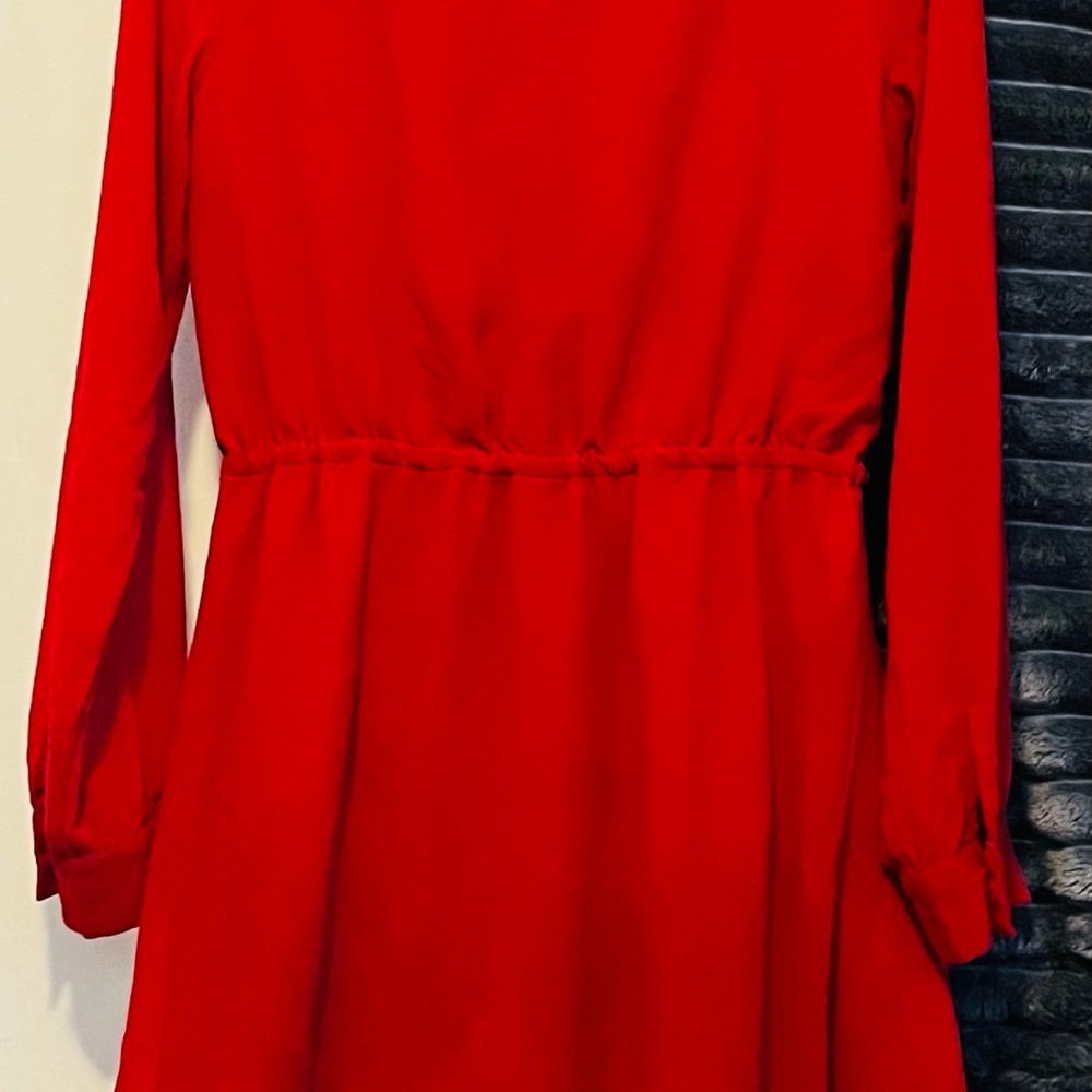 Naked Zebra Red Long Sleeve Dress